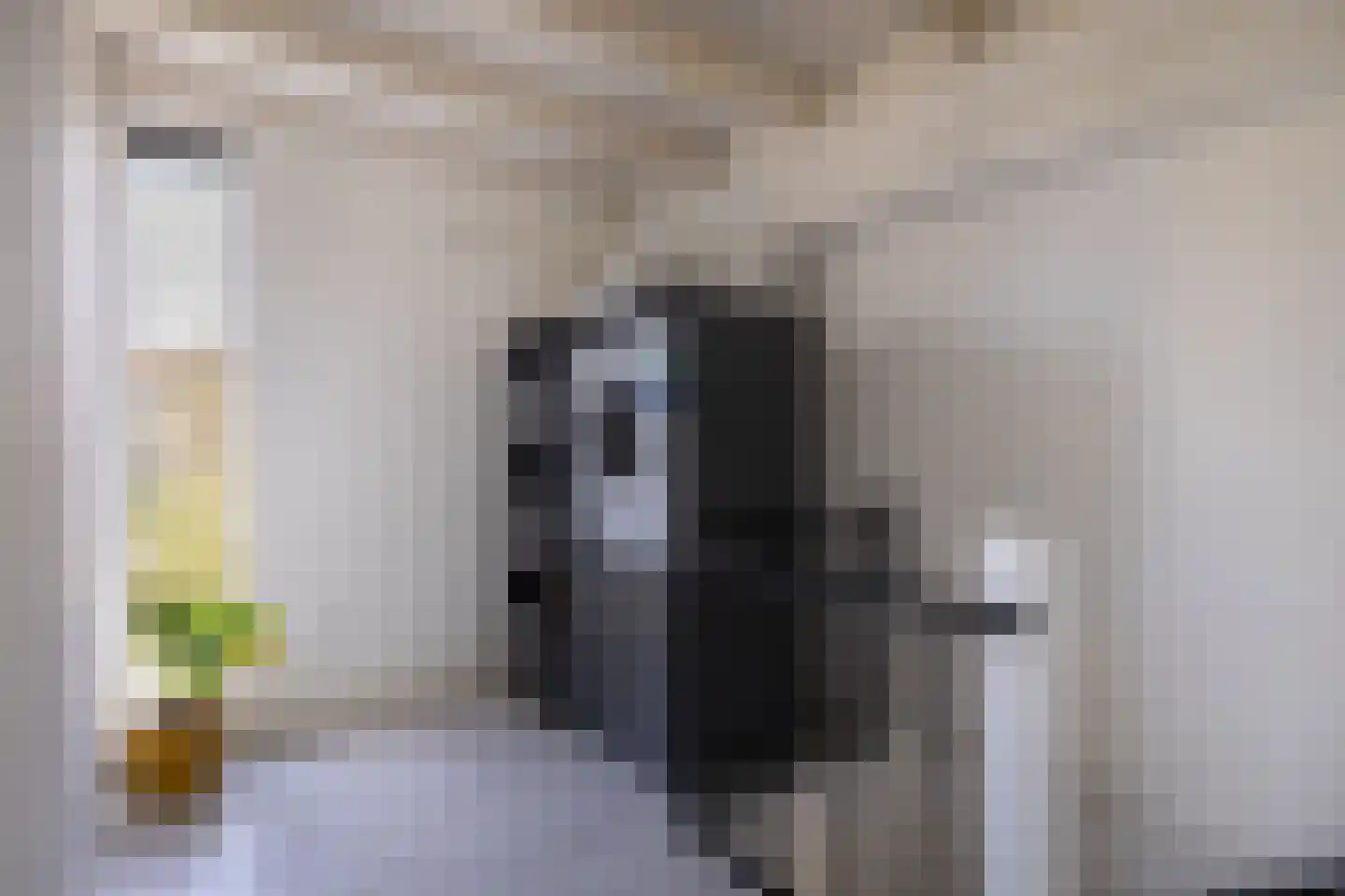 Zwenkgras 154 Leeuwarden thumbnail 38