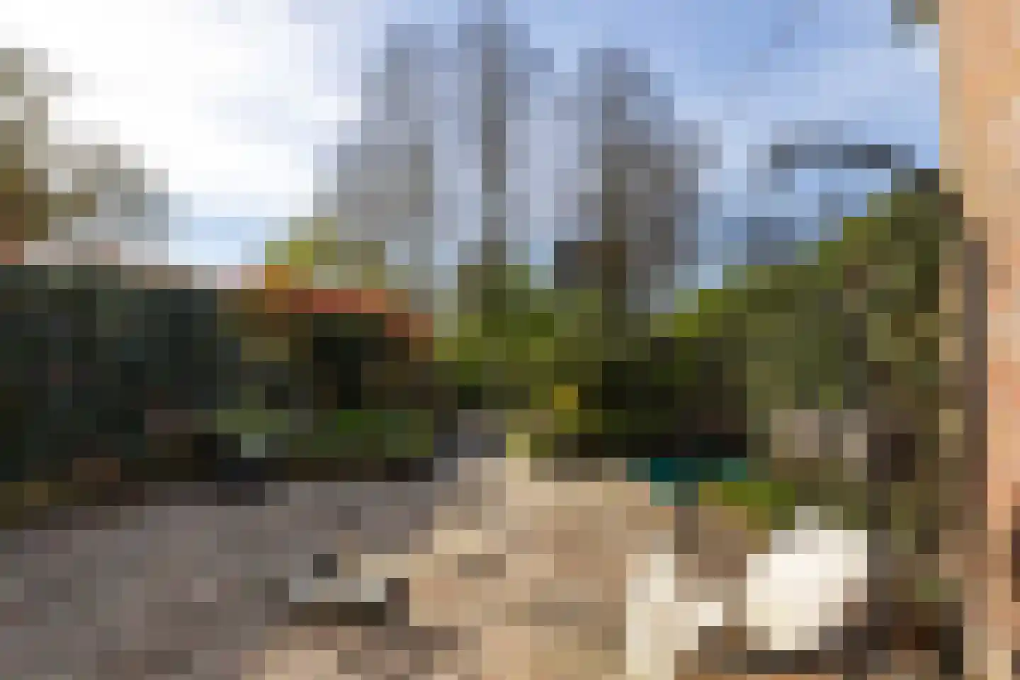 Zwenkgras 154 Leeuwarden thumbnail 42