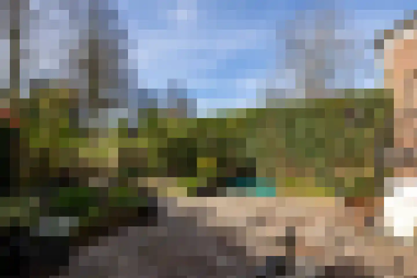 Zwenkgras 154 Leeuwarden thumbnail 43
