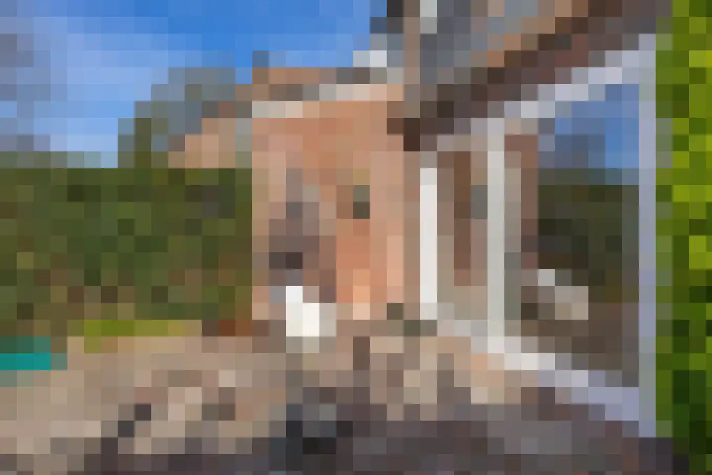 Zwenkgras 154 Leeuwarden thumbnail 44