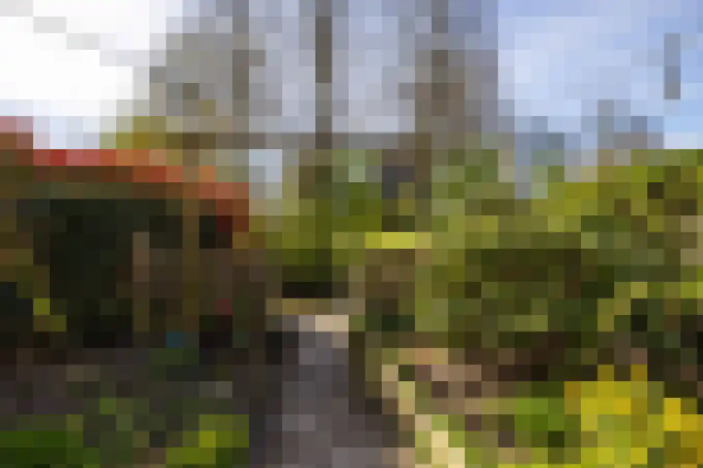 Zwenkgras 154 Leeuwarden thumbnail 45