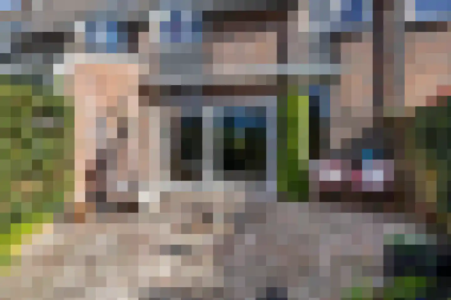 Zwenkgras 154 Leeuwarden thumbnail 46