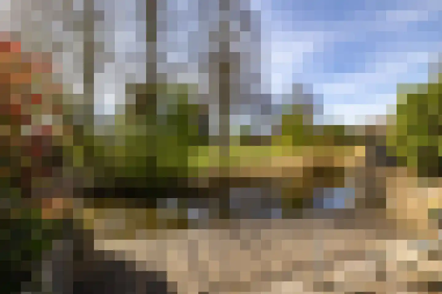 Zwenkgras 154 Leeuwarden thumbnail 47