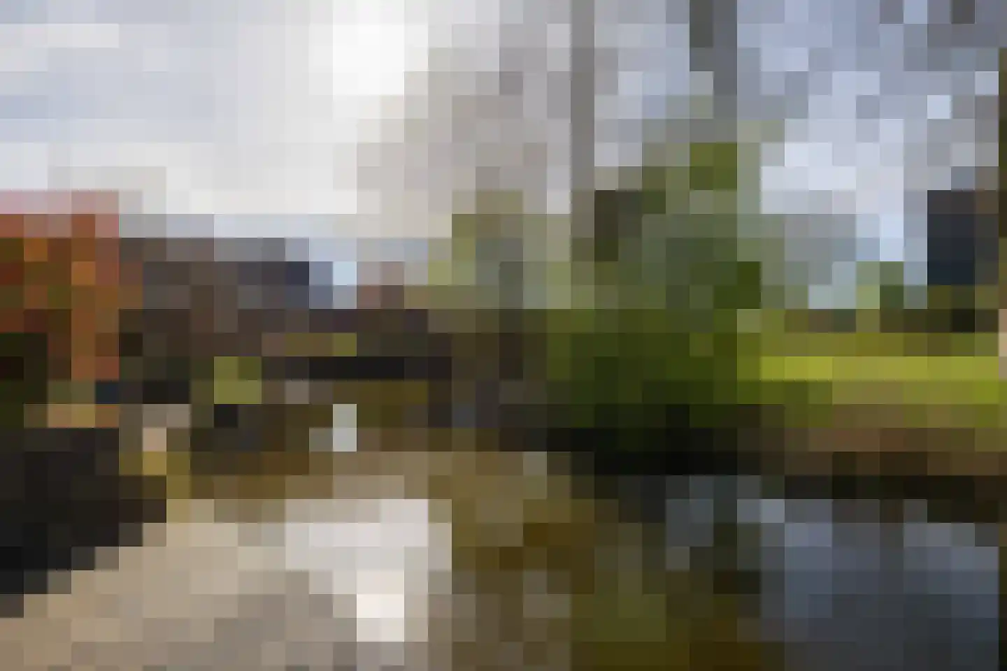 Zwenkgras 154 Leeuwarden thumbnail 48