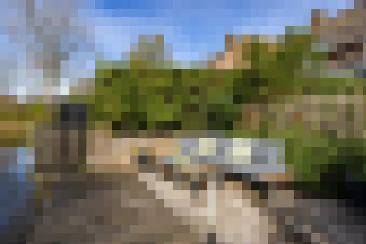 Zwenkgras 154 Leeuwarden thumbnail 49