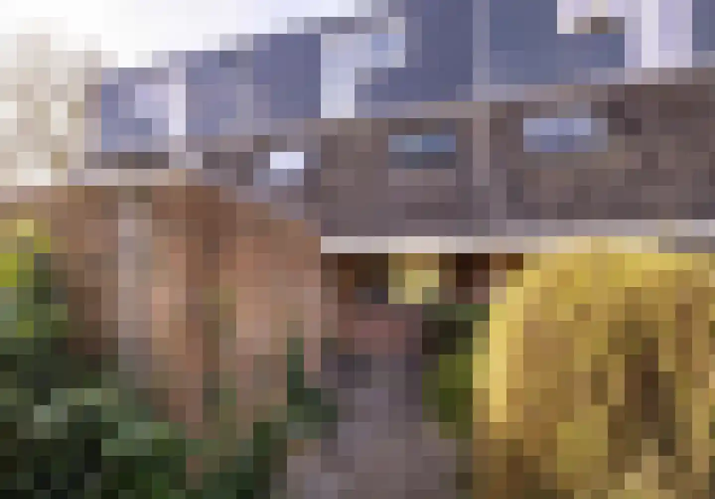Zwenkgras 154 Leeuwarden thumbnail 5