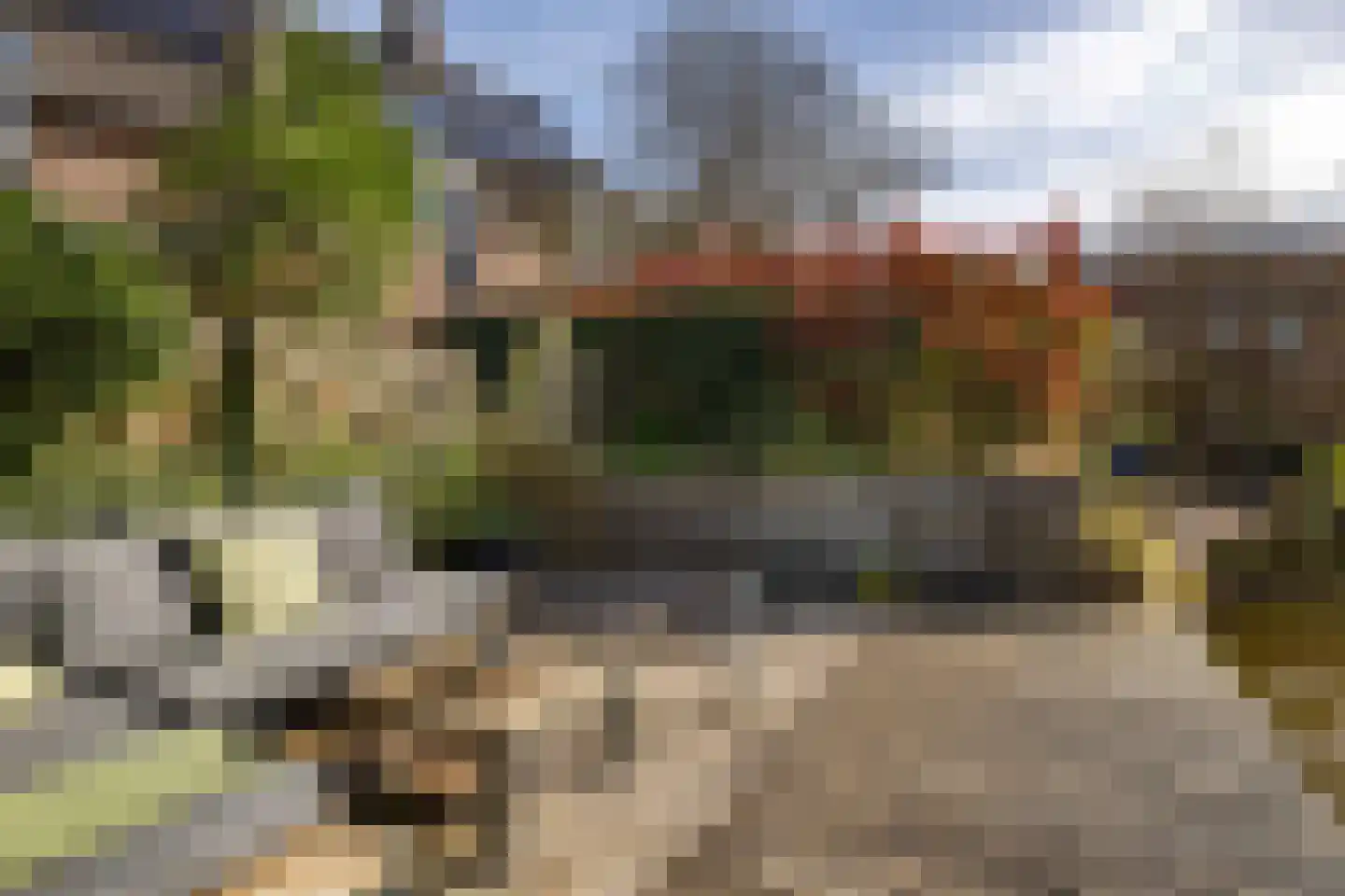 Zwenkgras 154 Leeuwarden thumbnail 50