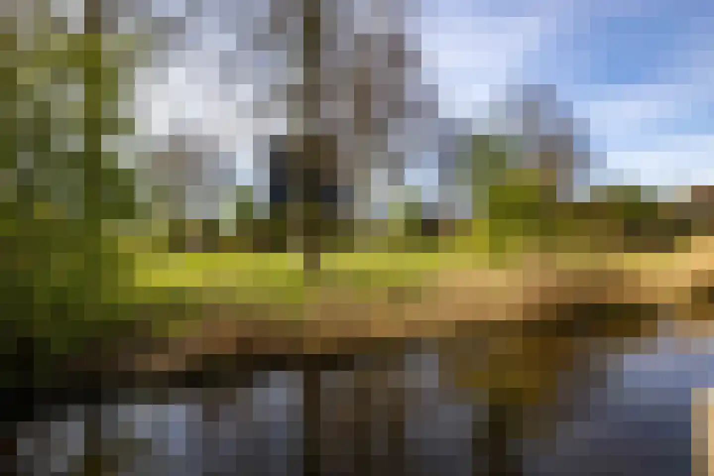 Zwenkgras 154 Leeuwarden thumbnail 51