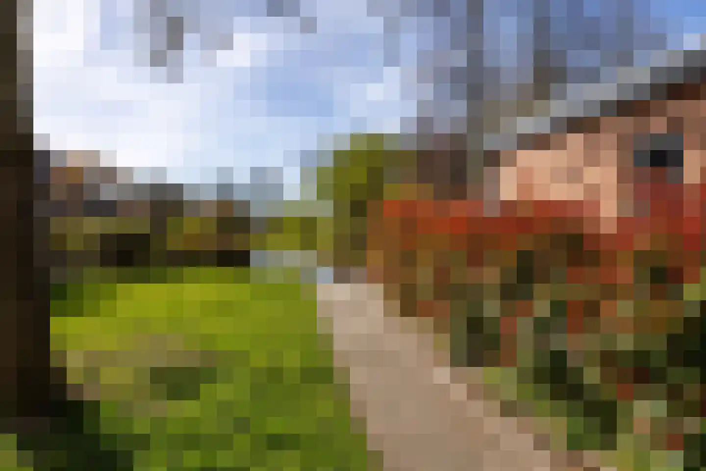 Zwenkgras 154 Leeuwarden thumbnail 53