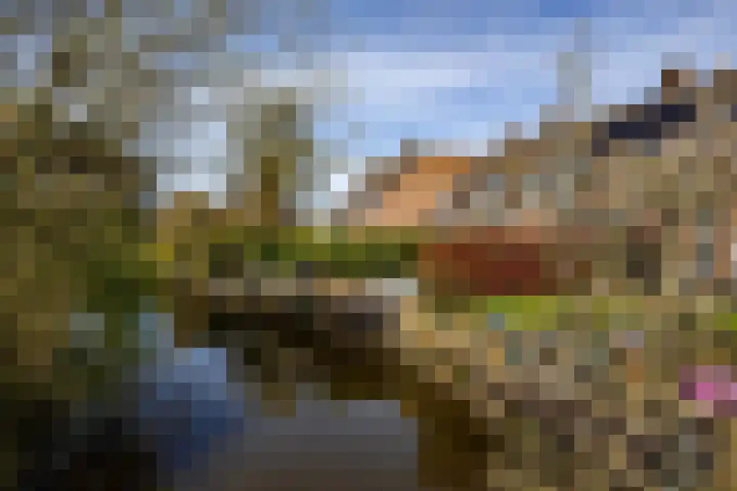 Zwenkgras 154 Leeuwarden thumbnail 54