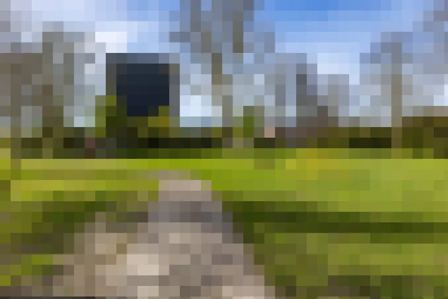 Zwenkgras 154 Leeuwarden thumbnail 55