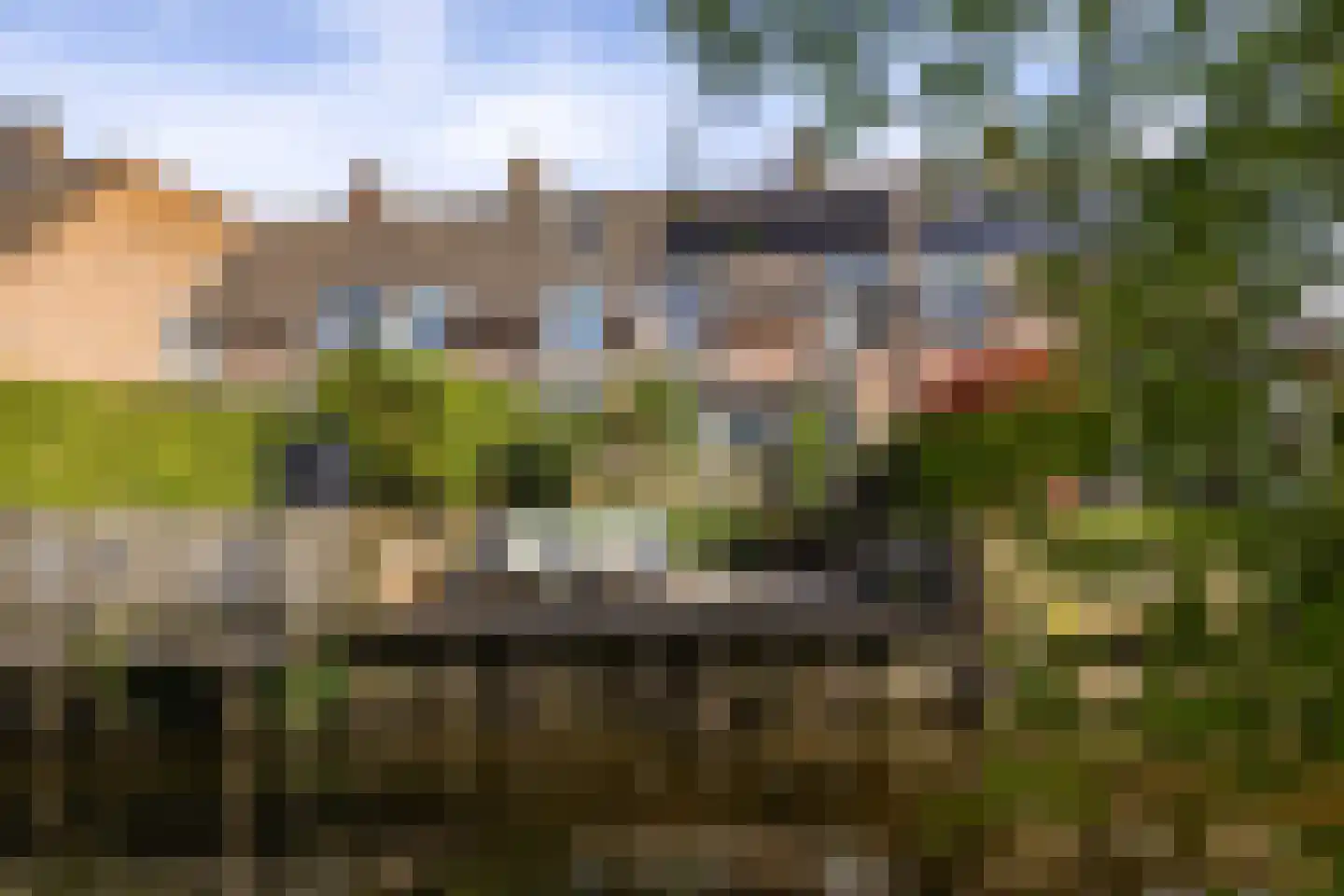 Zwenkgras 154 Leeuwarden thumbnail 56