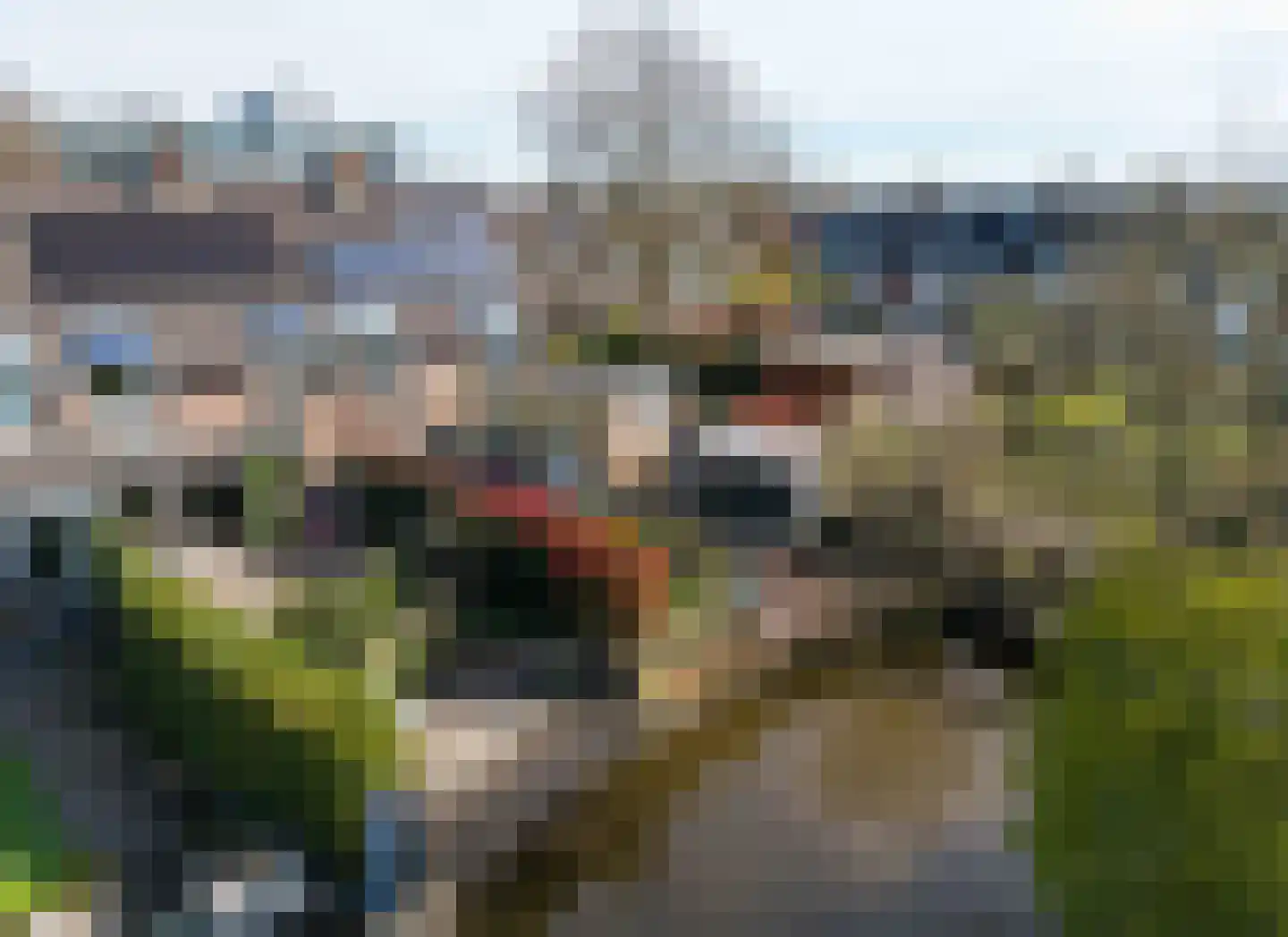 Zwenkgras 154 Leeuwarden thumbnail 58