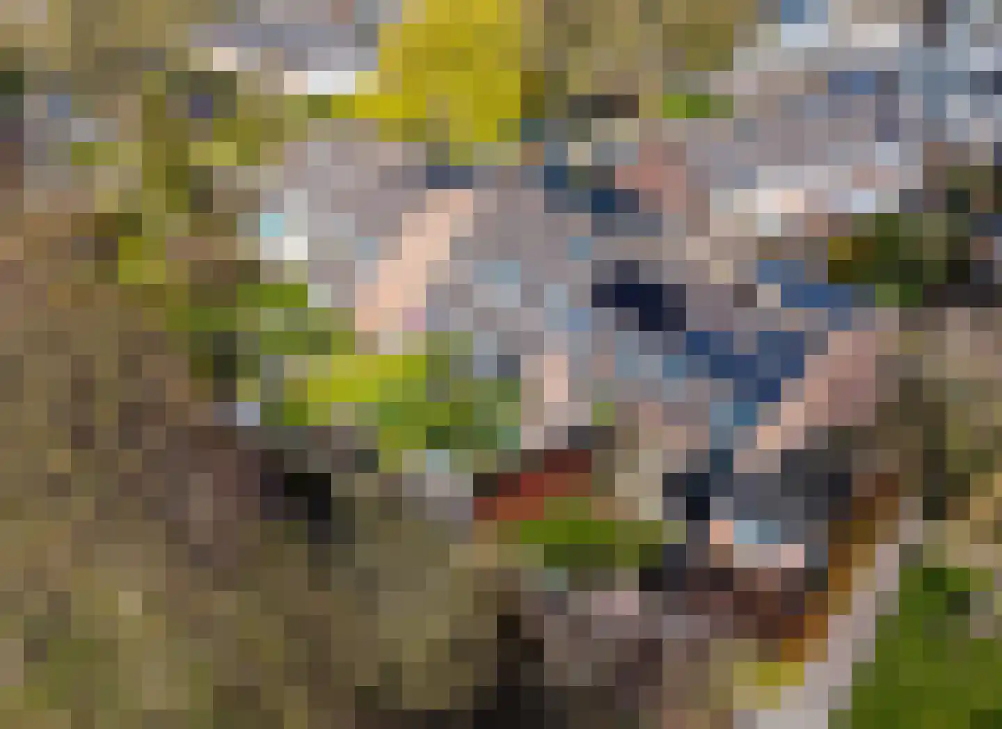 Zwenkgras 154 Leeuwarden thumbnail 59