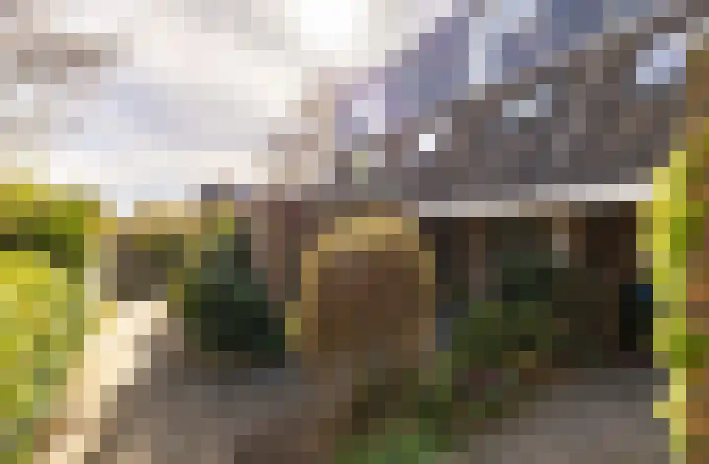 Zwenkgras 154 Leeuwarden thumbnail 6