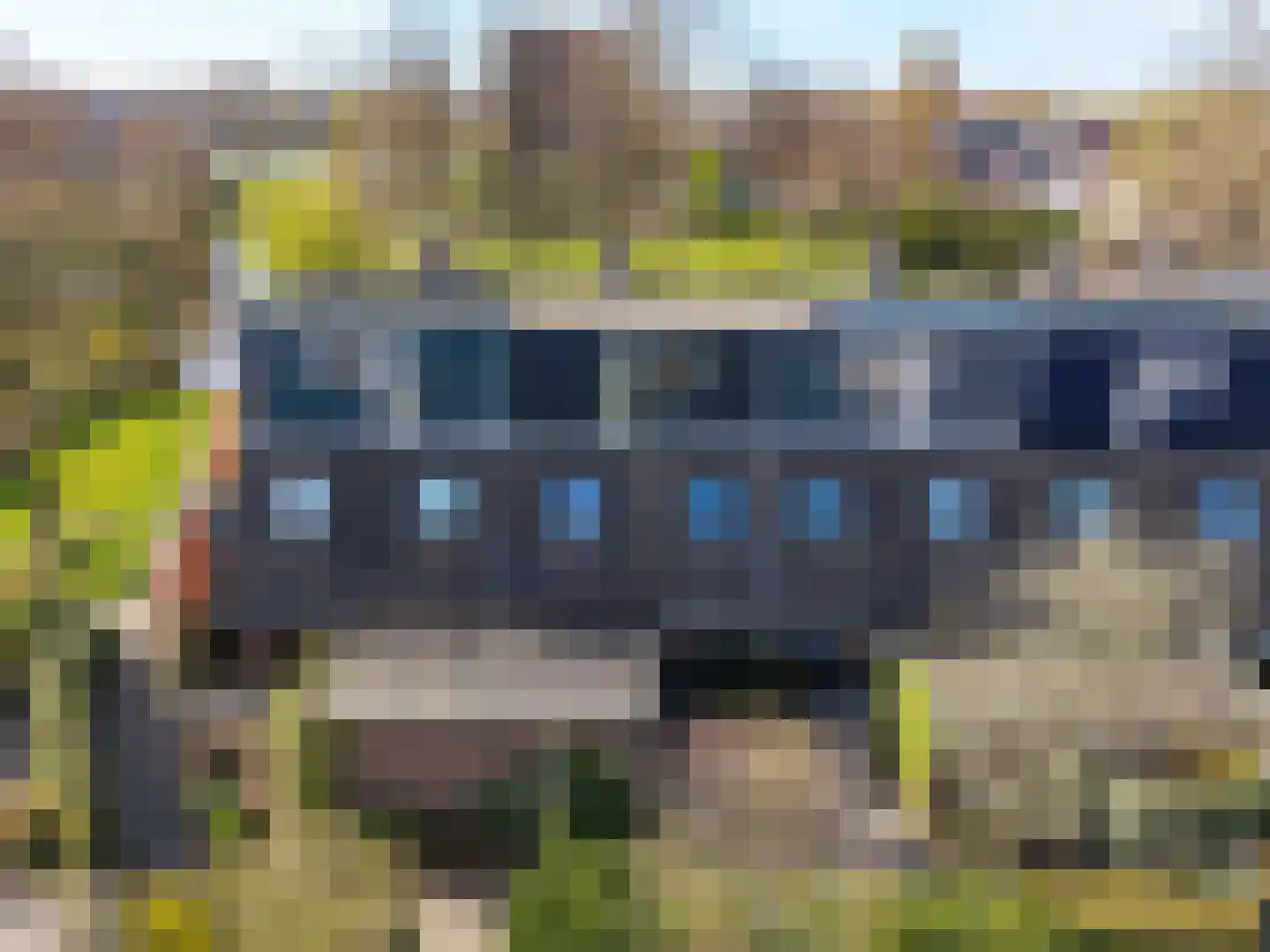 Zwenkgras 154 Leeuwarden thumbnail 61