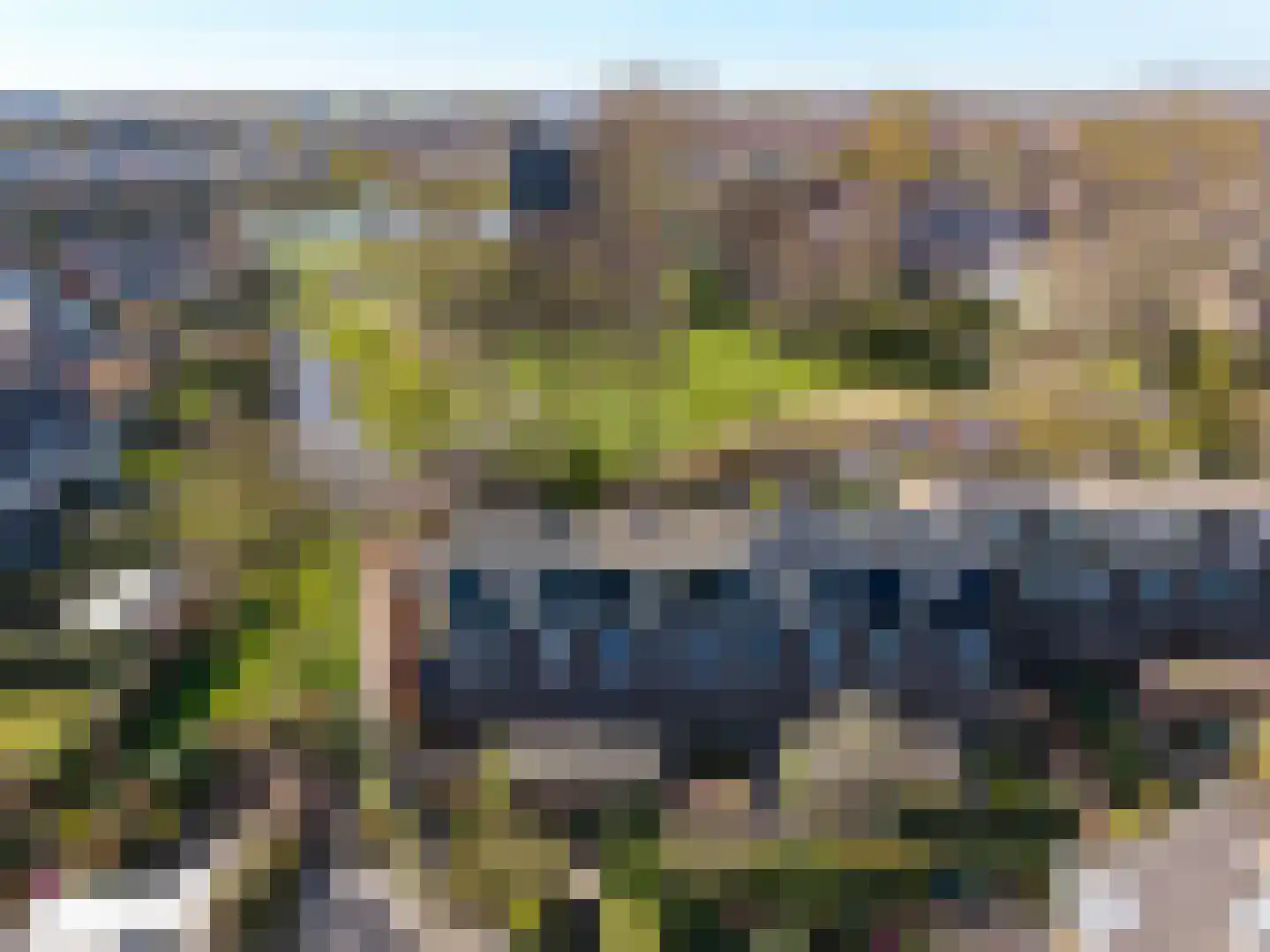 Zwenkgras 154 Leeuwarden thumbnail 62