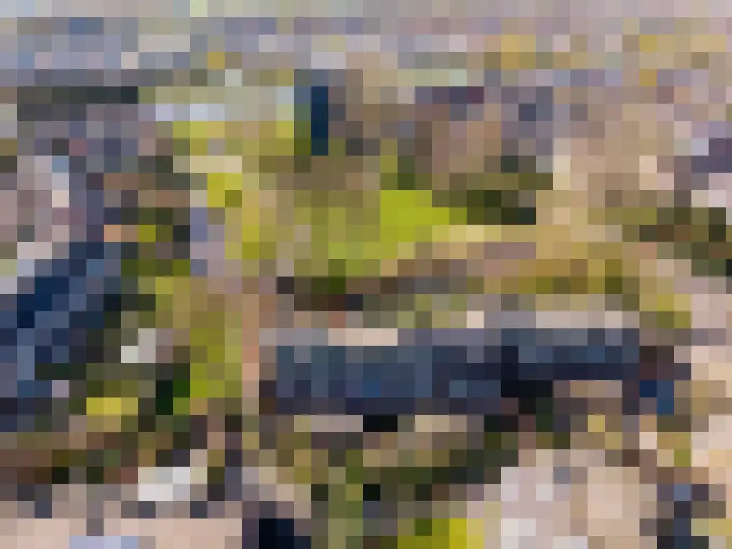 Zwenkgras 154 Leeuwarden thumbnail 63