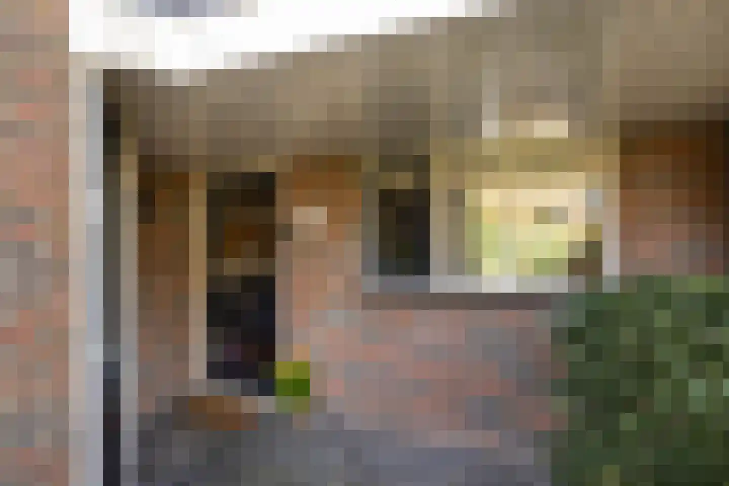 Zwenkgras 154 Leeuwarden thumbnail 8