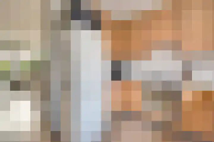Zwenkgras 17 Spijkenisse thumbnail 12