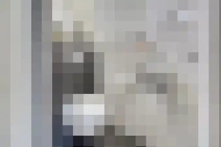 Zwenkgras 17 Spijkenisse thumbnail 15