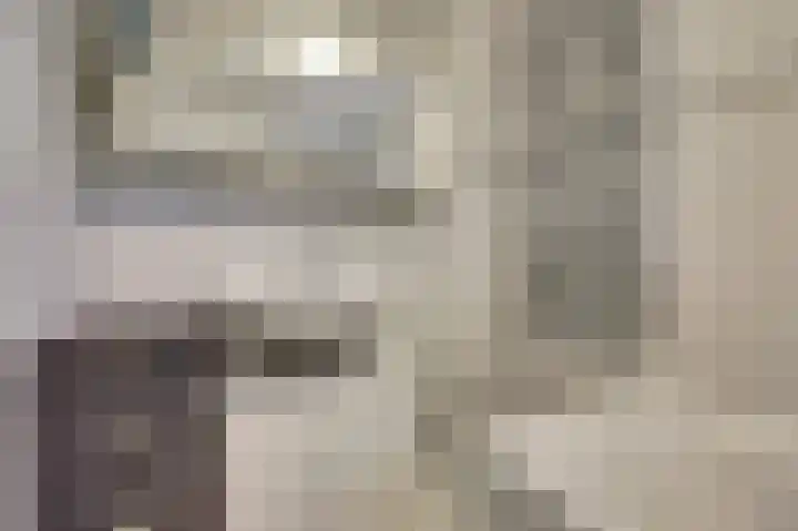 Zwenkgras 17 Spijkenisse thumbnail 19