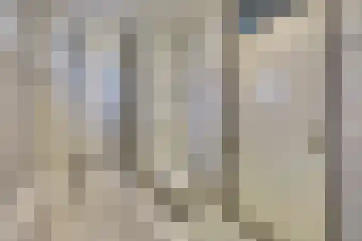 Zwenkgras 17 Spijkenisse thumbnail 20