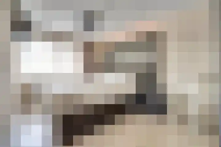 Zwenkgras 17 Spijkenisse thumbnail 21