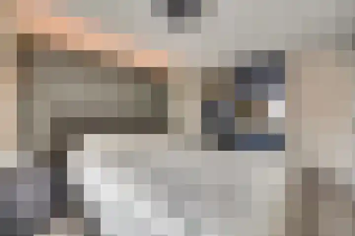 Zwenkgras 17 Spijkenisse thumbnail 23