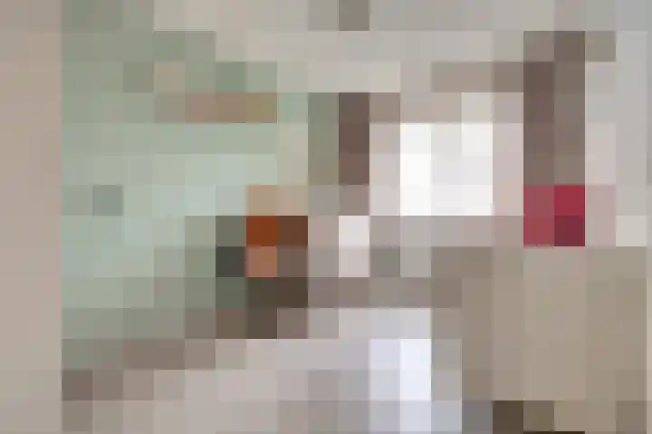 Zwenkgras 17 Spijkenisse thumbnail 24