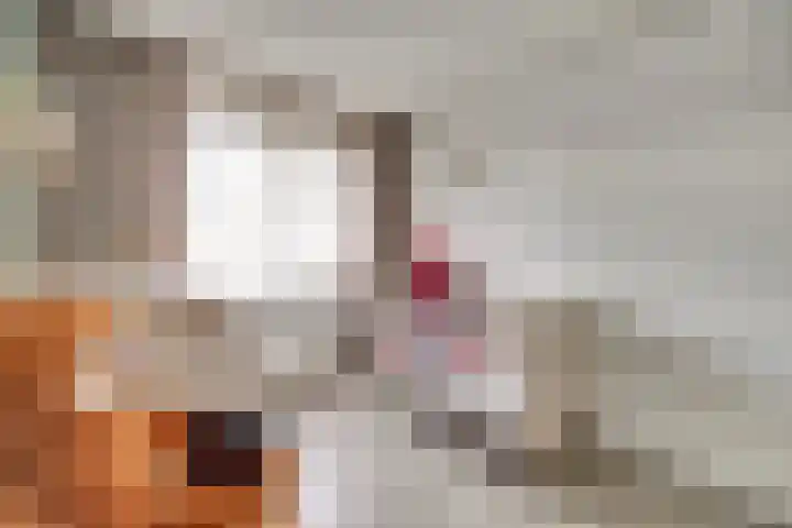 Zwenkgras 17 Spijkenisse thumbnail 25