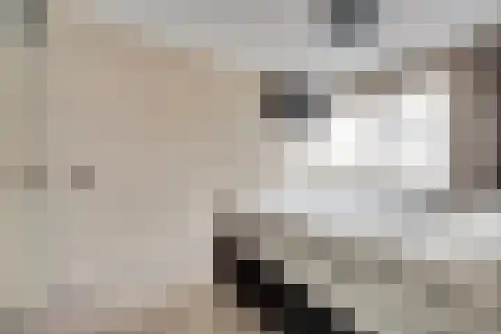 Zwenkgras 17 Spijkenisse thumbnail 31