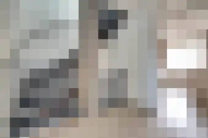 Zwenkgras 17 Spijkenisse thumbnail 32