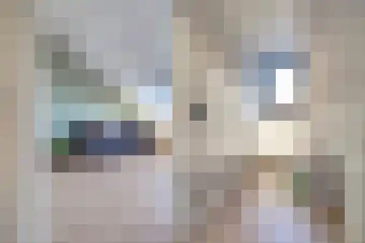 Zwenkgras 17 Spijkenisse thumbnail 34