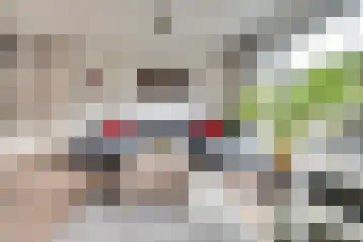 Zwenkgras 17 Spijkenisse thumbnail 4