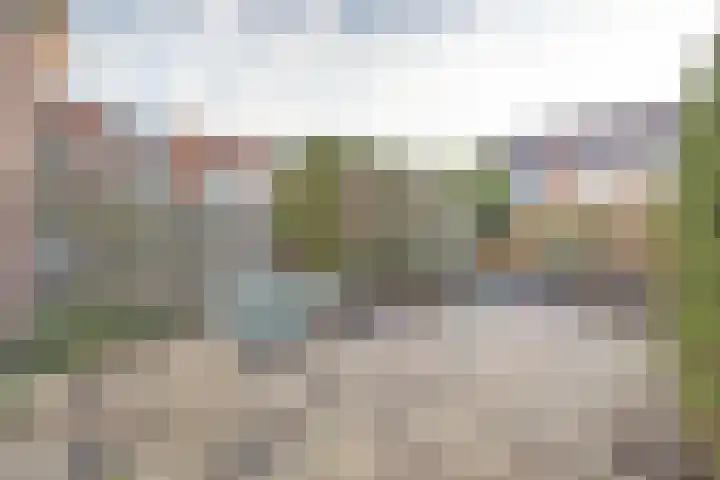 Zwenkgras 17 Spijkenisse thumbnail 40