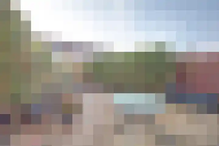 Zwenkgras 17 Spijkenisse thumbnail 41