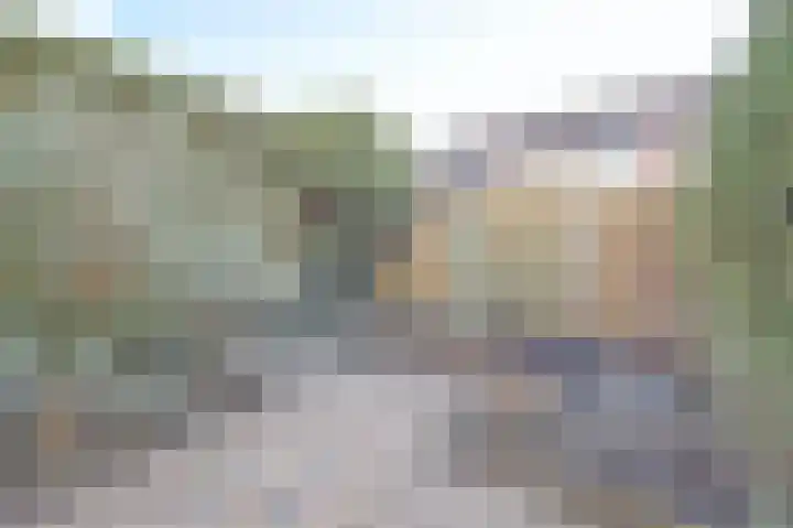 Zwenkgras 17 Spijkenisse thumbnail 42