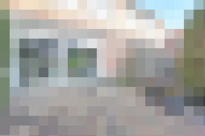 Zwenkgras 17 Spijkenisse thumbnail 43