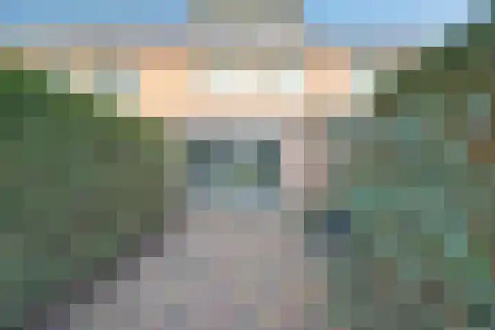 Zwenkgras 17 Spijkenisse thumbnail 44