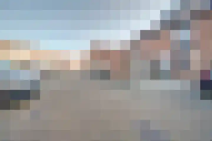 Zwenkgras 17 Spijkenisse thumbnail 46