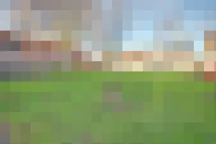 Zwenkgras 17 Spijkenisse thumbnail 47