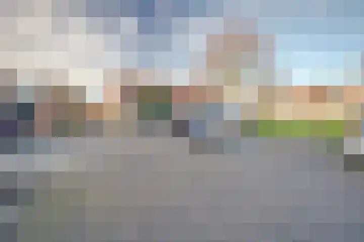 Zwenkgras 17 Spijkenisse thumbnail 48