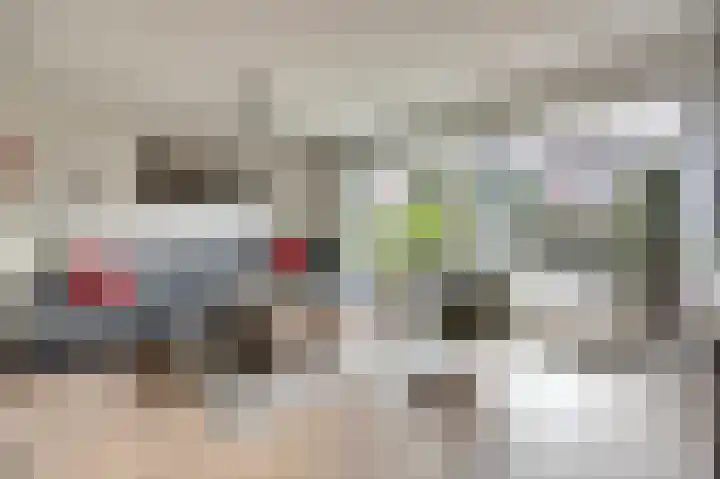 Zwenkgras 17 Spijkenisse thumbnail 5