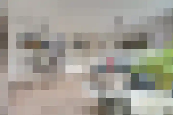 Zwenkgras 17 Spijkenisse thumbnail 6