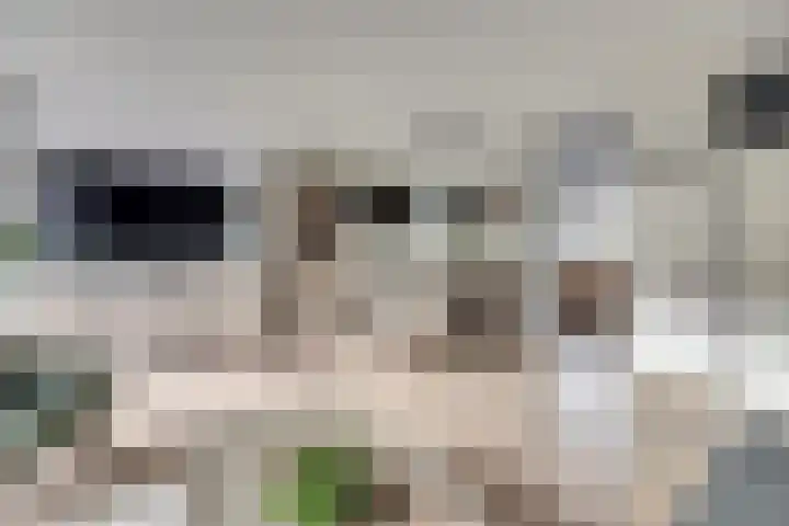 Zwenkgras 17 Spijkenisse thumbnail 7