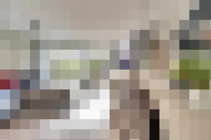 Zwenkgras 17 Spijkenisse thumbnail 9