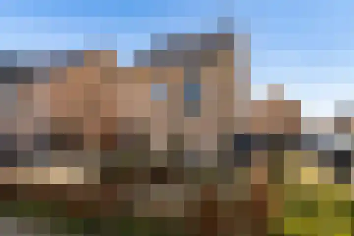 Zwenkgras 2 Lelystad foto 2