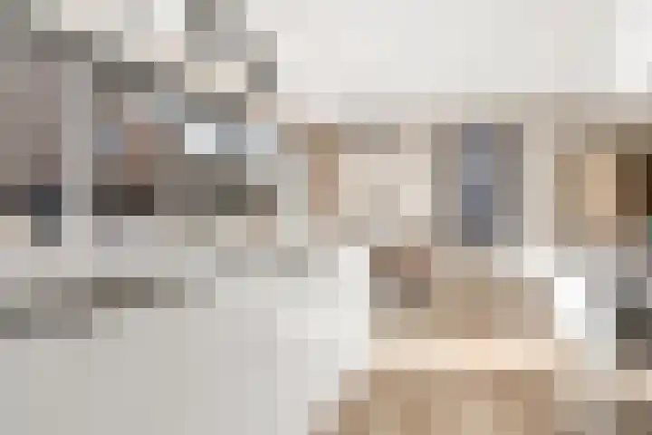 Zwenkgras 2 Lelystad thumbnail 24