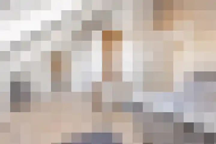 Zwenkgras 2 Lelystad thumbnail 40